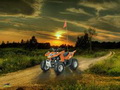 Квадроциклы Arctic Cat и их преимущества