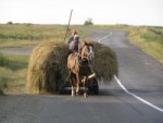 История развития грузоперевозки