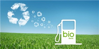 биодизель